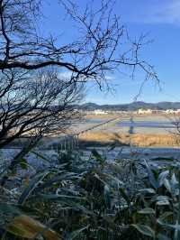 【静岡】897.4m⁈1879年に作られた日本一長い木造橋・蓬莱橋