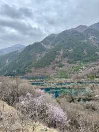 特種兵成都九寨溝峨眉都江堰五日四夜遊