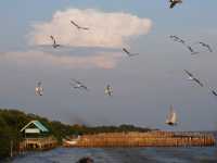 เที่ยวสงกรานต์ที่ สถานตากอากาศบางปู