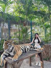 泰國-芭達雅 Tiger Park-Pattaya