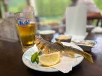 岐阜県板取川で自然の美しさとおいしい食を楽しむ旅🌊🍴