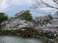 日本九州長崎大村公園