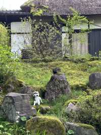 【石川×ゆのくにの森】茅葺き屋根の古民家や自然豊かな背景も楽しめます。