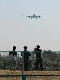 関空をかすめる！千里川土手で飛行機撮影