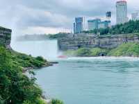 Springtime Splendor at American Falls