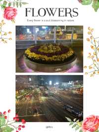極具文創風嘅空中花園🌸🌹