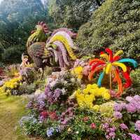 Blossoms and Tranquility: A Day at Hangzhou Botanical Garden