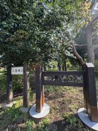 東京景點｜都立木場公園