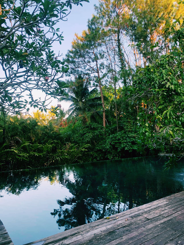 🌸💕Loved the moments here💕🌸Serene Infinity Pool