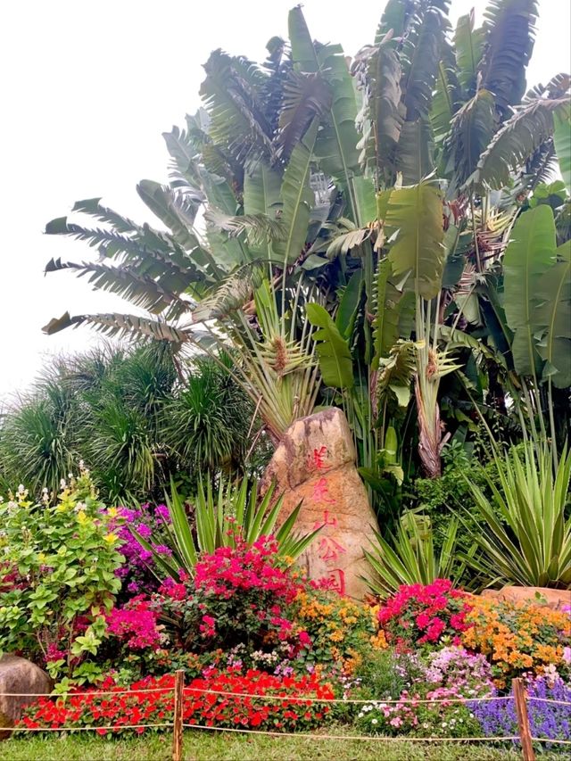 Lianshan Flower Park Where Urban Life Blooms with Nature