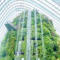 Misty Marvel: A Walk Among the Clouds 🇸🇬