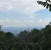 【高尾山】⛰️ 人気のお山