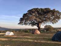 Simba Campsite A｜坐擁壯麗火山口景色的高山營地