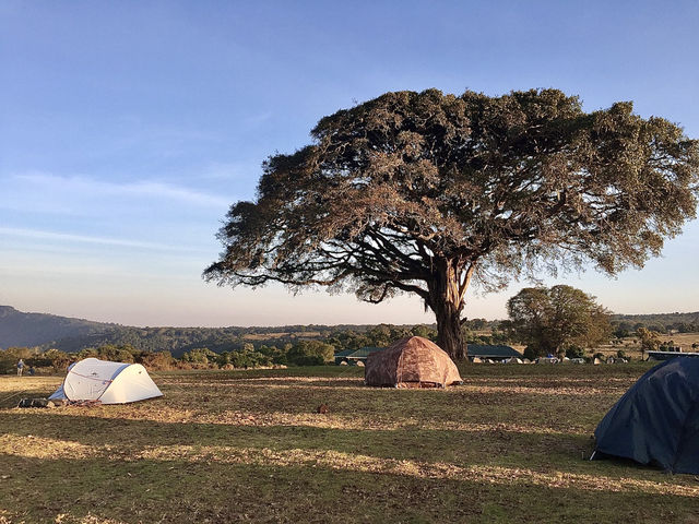 Simba Campsite A｜坐擁壯麗火山口景色的高山營地