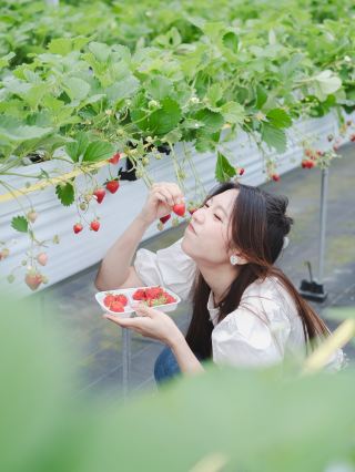 Okinawa Nakama Strawberry Farm