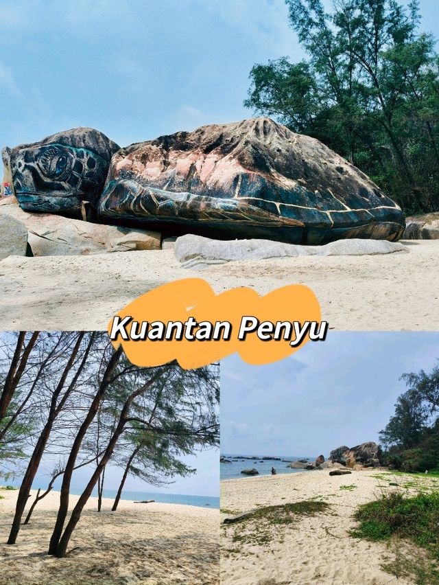 Tanjung Pelindung’s Rocky Canvas – A Tribute to Sea Turtles