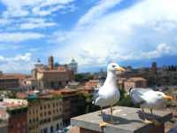 Stepping Back in Time – An Unforgettable Visit to the Rome Colosseum