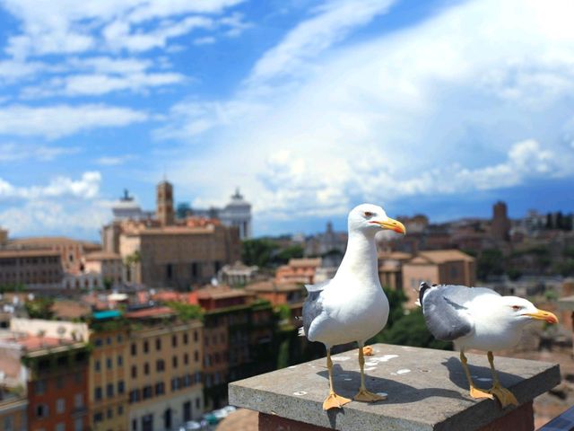Stepping Back in Time – An Unforgettable Visit to the Rome Colosseum