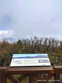 จุดชมวิว Zhushan Station Mt.Okasawara Alishan