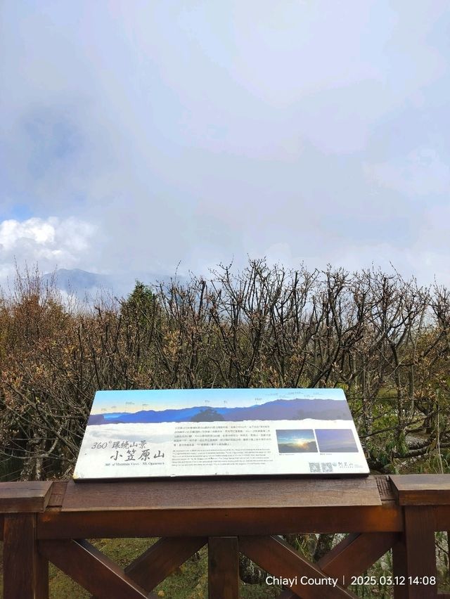 จุดชมวิว Zhushan Station Mt.Okasawara Alishan