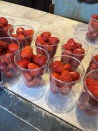 𝐍𝐨𝐫𝐭𝐡 𝐒𝐡𝐨𝐫𝐞 𝐊𝐢𝐭𝐚𝐡𝐚𝐦𝐚 🍓🍫