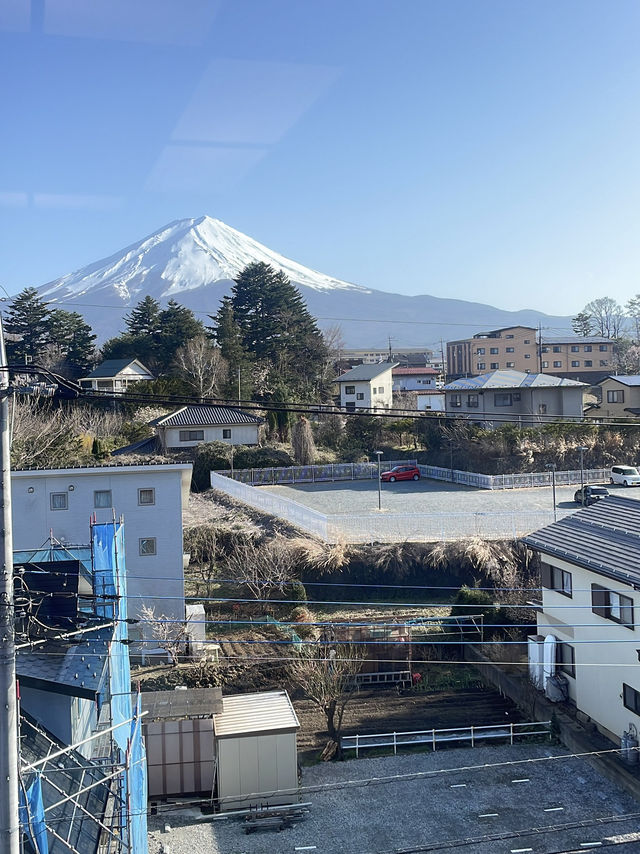 Onsen ookie