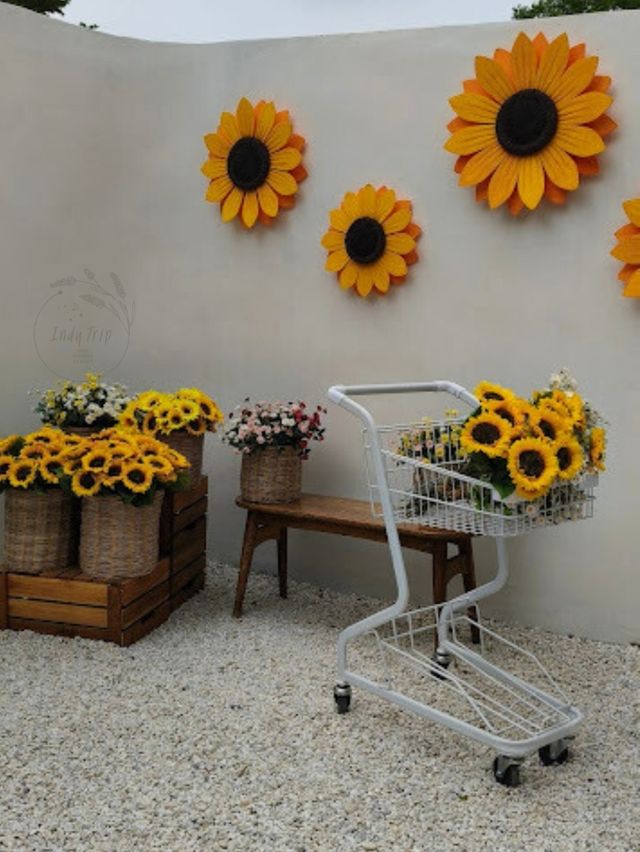 🌻Lamoonee Cafe
