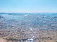 【沖縄　竹富島】ここは天国？1年中楽しめる竹富島