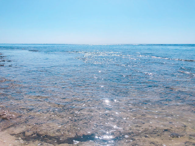 【沖縄　竹富島】ここは天国？1年中楽しめる竹富島