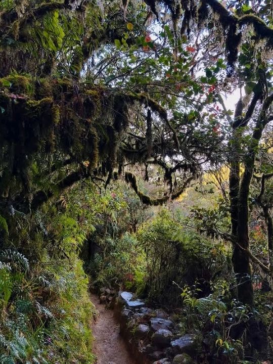 truly mesmerizing, with a remarkable transition from lush grasslands