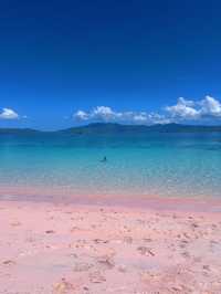 The Pink Beach & the Curious Deer
