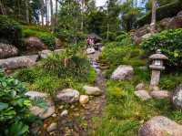 🍃 Zen Vibes Only: A Peaceful Pause at Bukit Tinggi’s Japanese Garden 🏯✨