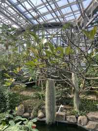 【都内で自然さんぽ】神代植物公園