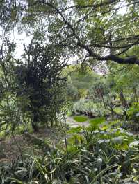 台北｜花博公園與台北植物園一日遊