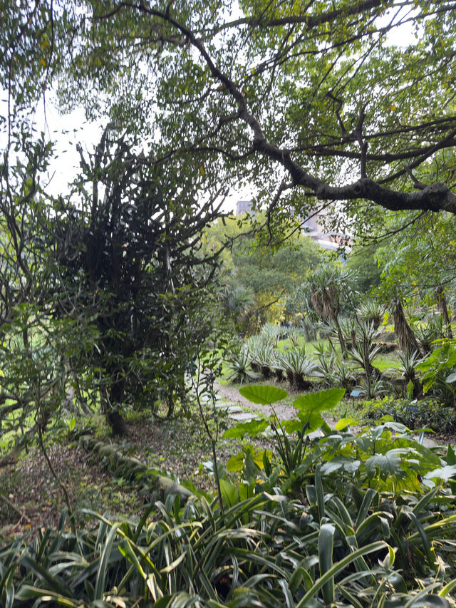 台北｜花博公園與台北植物園一日遊