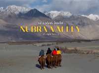 Nubra Valley - Leh Ladakh 🇮🇳🥰🐪🐫