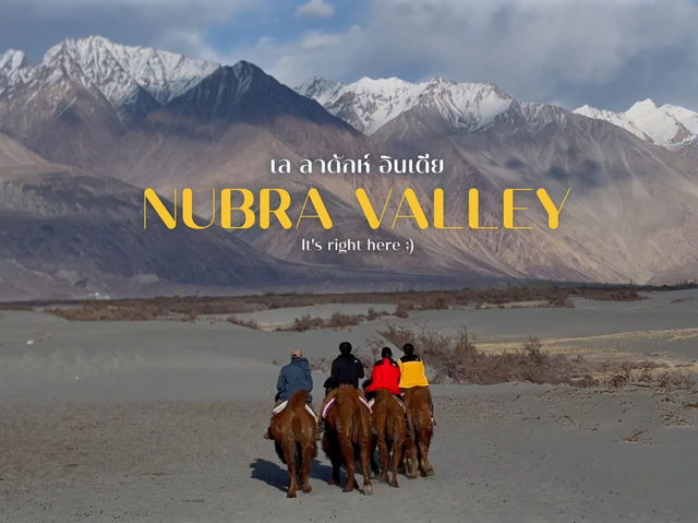 Nubra Valley - Leh Ladakh 🇮🇳🥰🐪🐫