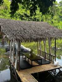 ที่พักที่ถูกต้องที่สุดด Rain Forest Resort 🌿🌲