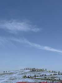 国営ひたち海浜公園｜色とりどりの絶景が広がる“アニメの世界”へ