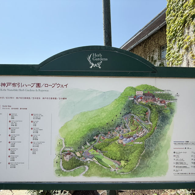 神戶布引香草園 山上天氣舒爽 喜歡花草樹木的可以待一整天！