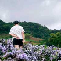 สวนดอกไม้ ป้างฮวา 🌺 l เชียงใหม่