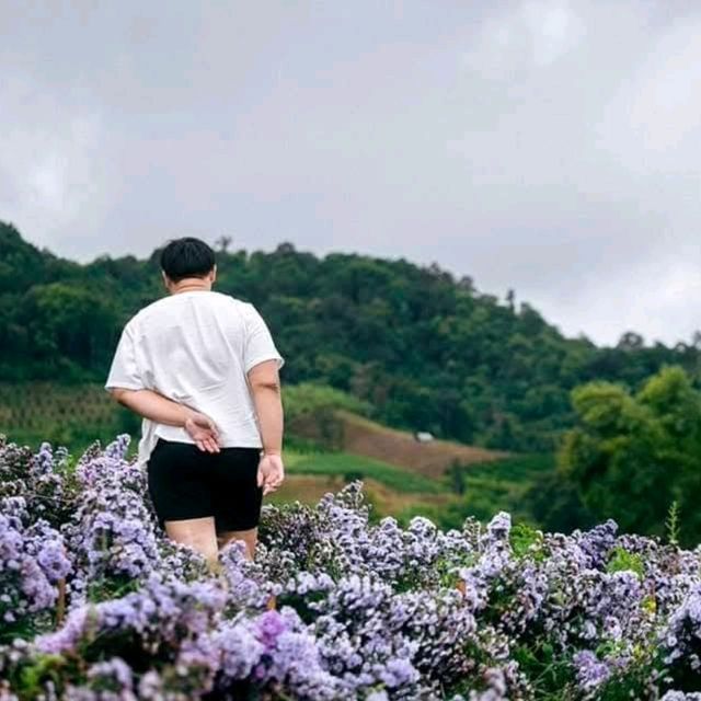 สวนดอกไม้ ป้างฮวา 🌺 l เชียงใหม่