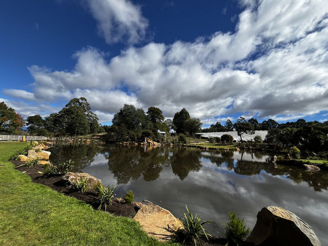 A great stop for great food and scenic garden view- Christmas Hills Raspberry Farm Tasmania 