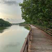เดิน🚶ชิล ธรรมชาติ @ป่าในเมืองระยอง
