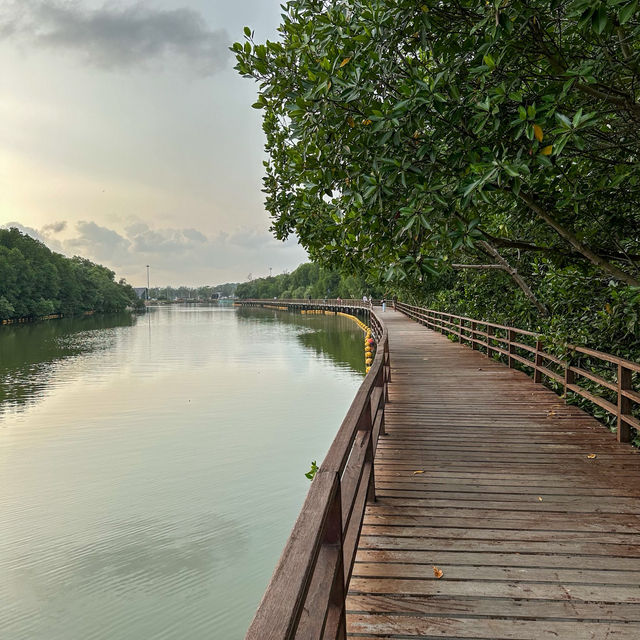 เดิน🚶ชิล ธรรมชาติ @ป่าในเมืองระยอง