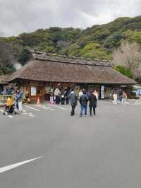 Umi Jigoku เที่ยวบ่อน้ำพุร้อน Beppu เที่ยวญี่ปุ่น