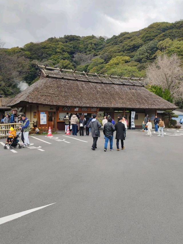 Umi Jigoku เที่ยวบ่อน้ำพุร้อน Beppu เที่ยวญี่ปุ่น