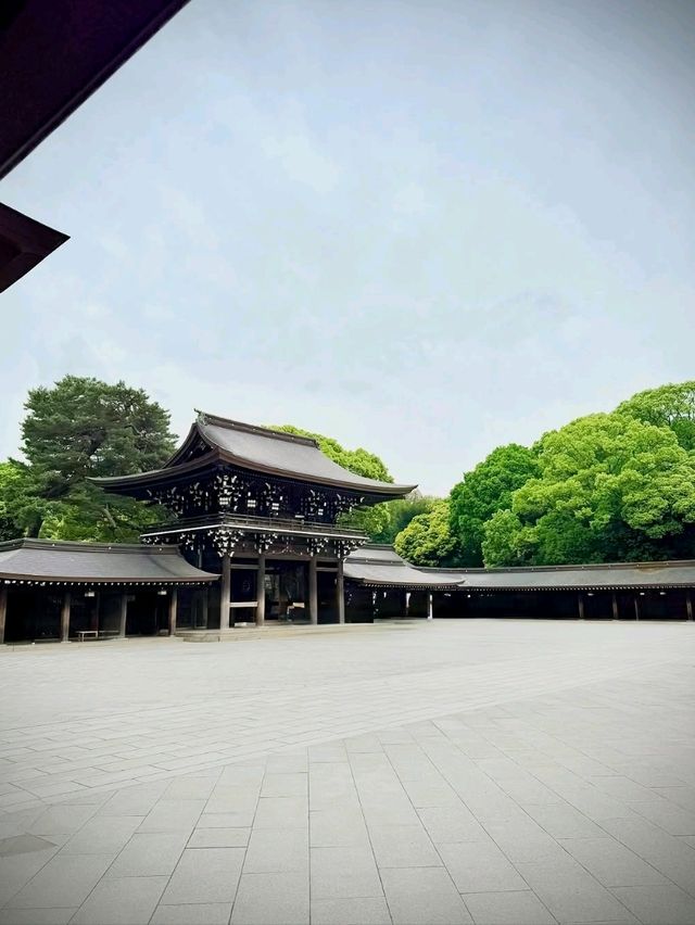 Peaceful Forest Vibes Right in the Middle of Tokyo