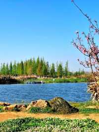 Beautiful Dounan Wetland