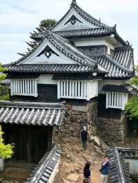 Bitchu Matsuyama Castle